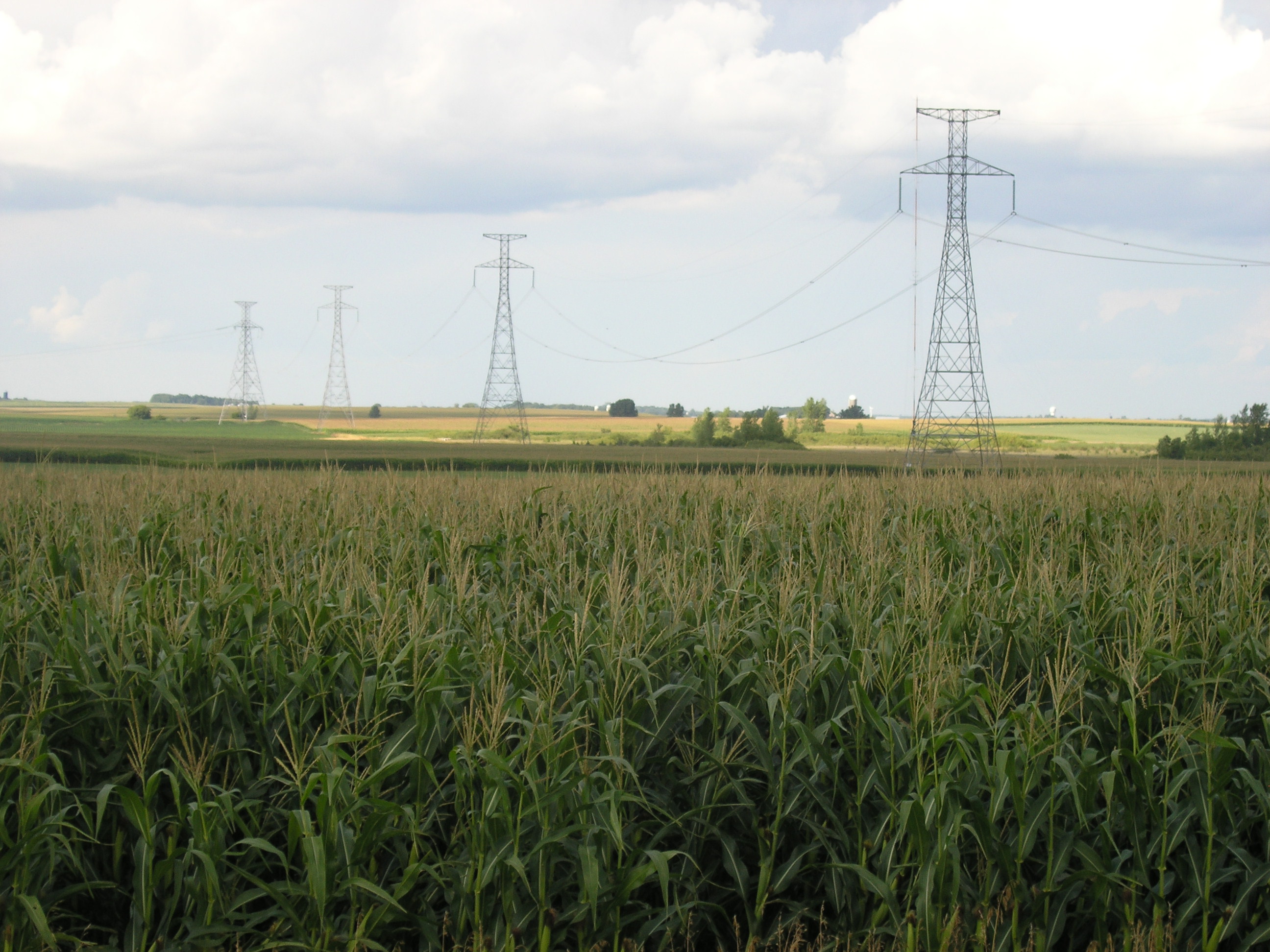 Warfield Appraisal Group